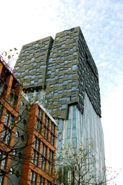 DSC_3706gecomp.jpg