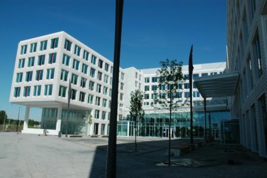 10.JPG