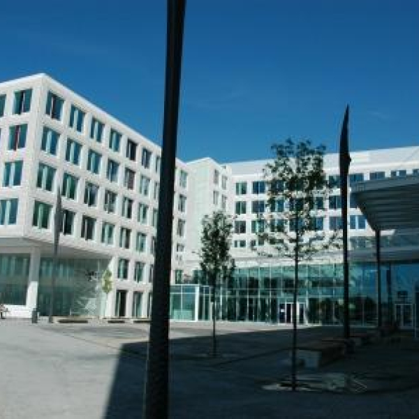 10.JPG